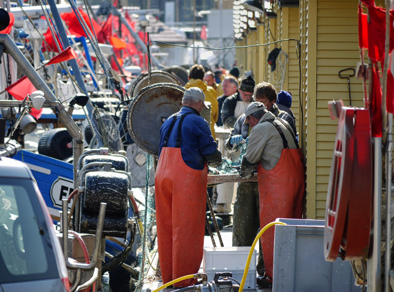 Stacks Image 392